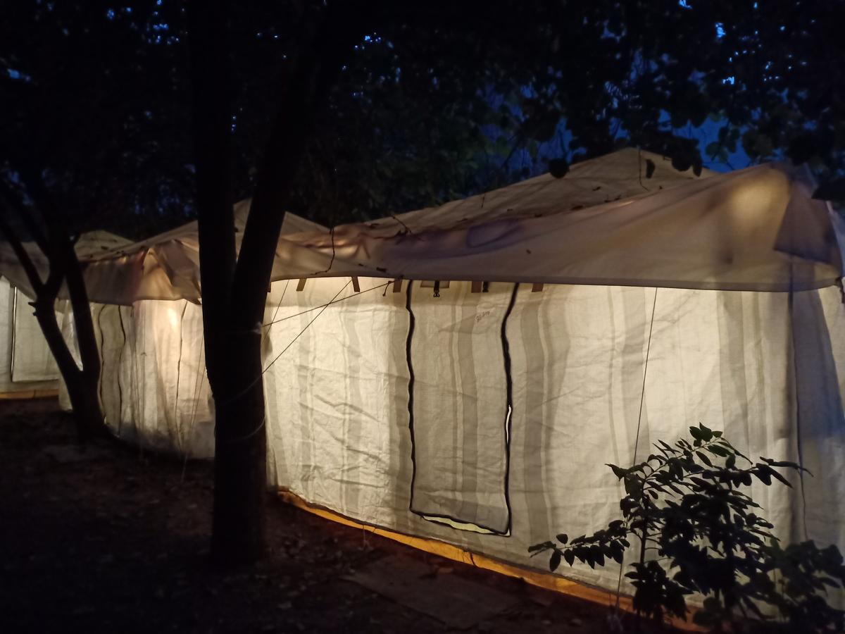 Nature Trail Camps & Homestay Dźodhpur Zewnętrze zdjęcie