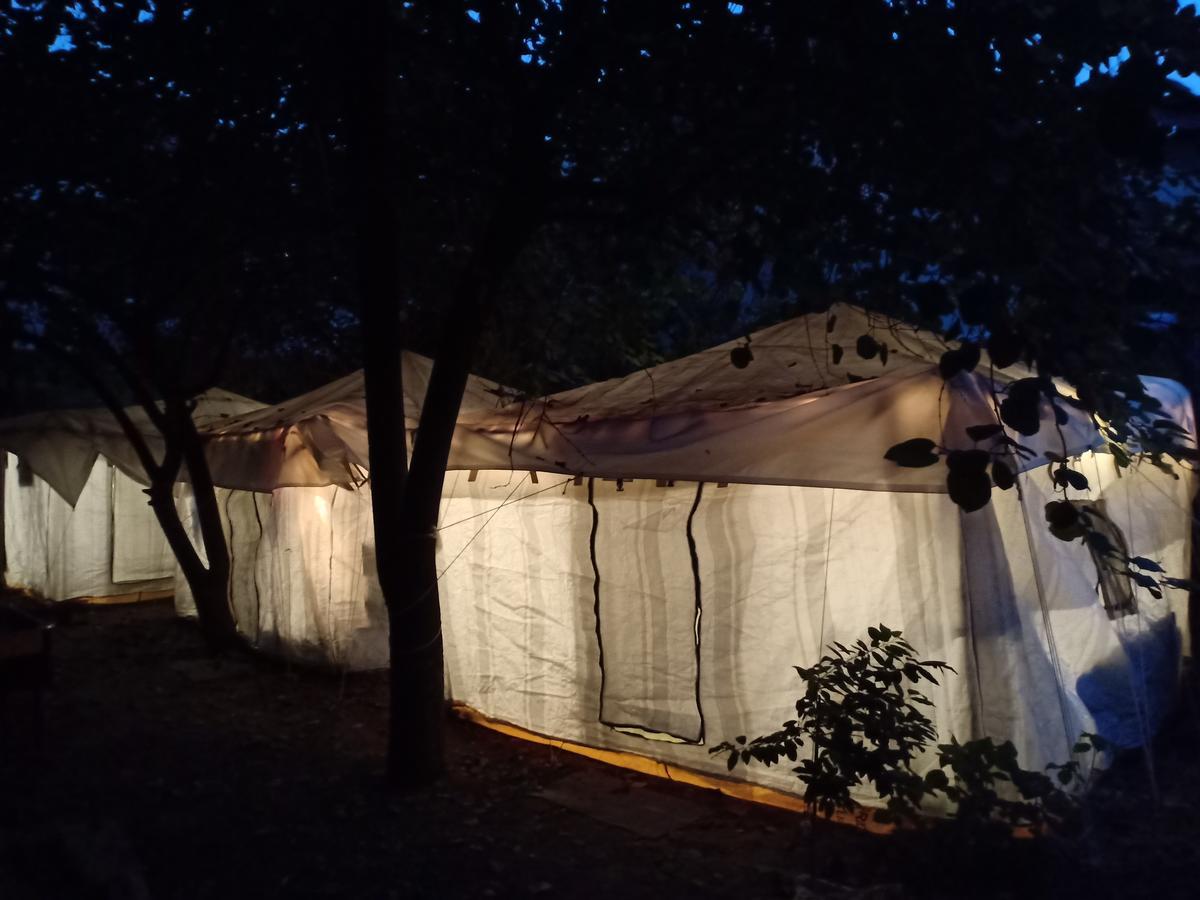 Nature Trail Camps & Homestay Dźodhpur Zewnętrze zdjęcie