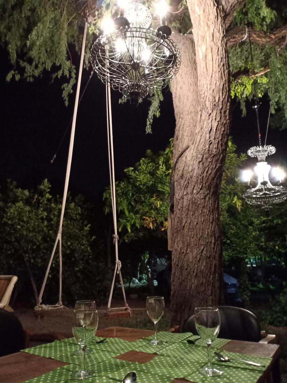 Nature Trail Camps & Homestay Dźodhpur Zewnętrze zdjęcie