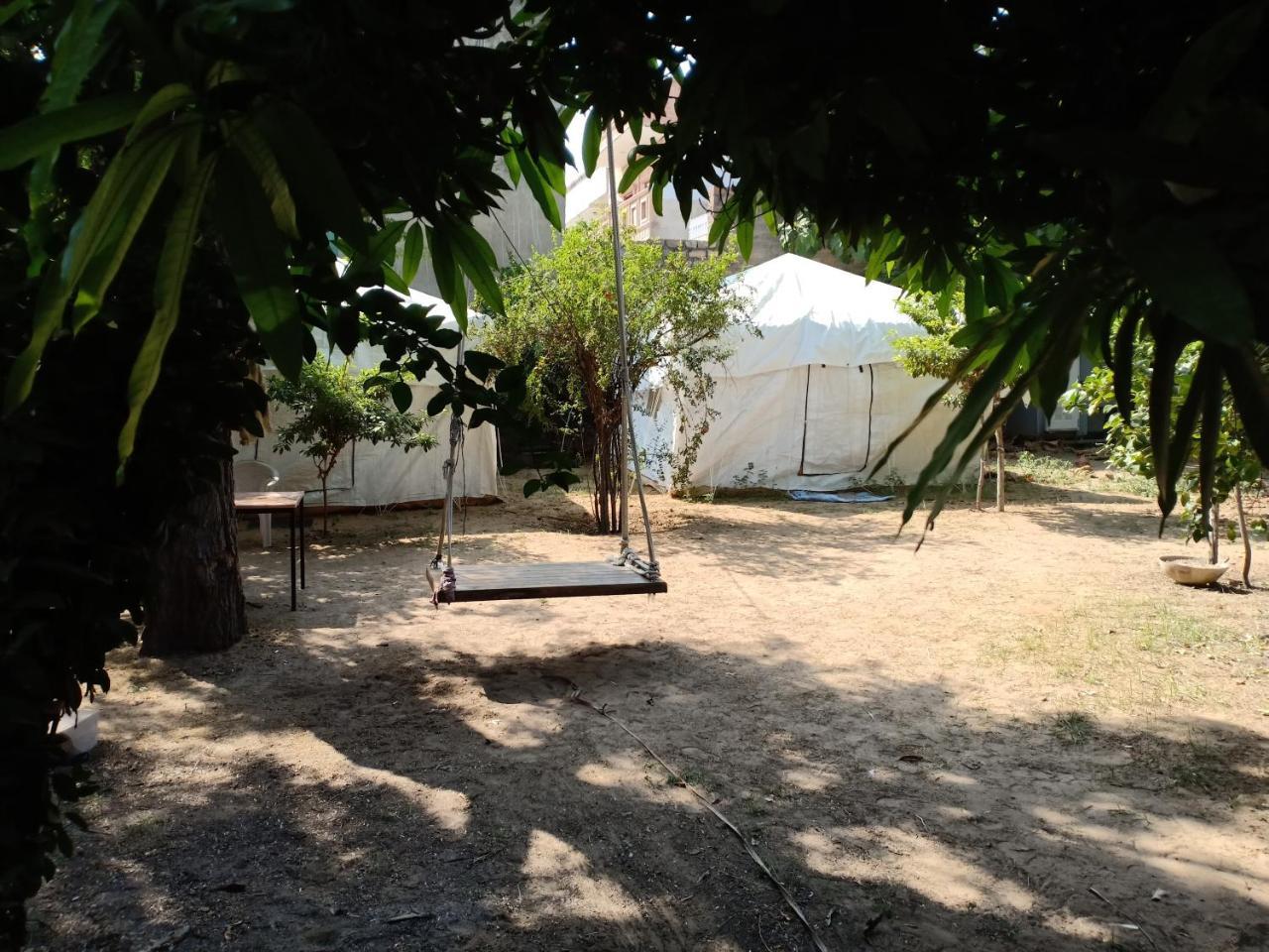 Nature Trail Camps & Homestay Dźodhpur Zewnętrze zdjęcie